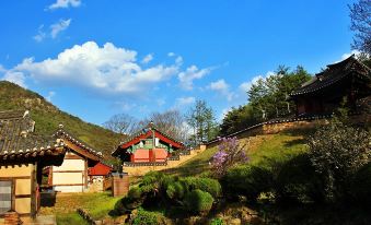 Goesan Geumseong Pension