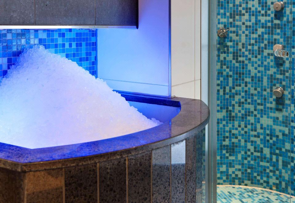 Steigenberger Airport Hotel AmsterdamOver view