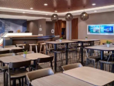 SpringHill Suites by Marriott Wixom Novi Hotels in Wixom