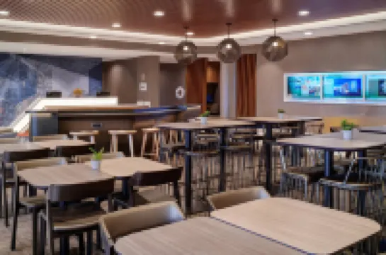 SpringHill Suites by Marriott Wixom Novi Hotels in Wixom