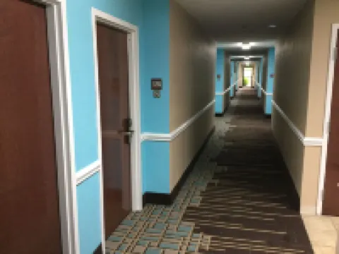 Super 8 by Wyndham Greer/Spartanburg Area Hoteles en Greer