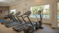 Staybridge Suites IRAPUATO by IHG - Gym