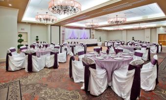 Holiday Inn & Suites Ottawa Kanata