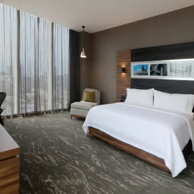 Hilton Garden Inn Monterrey Obispado Hotels near Obispado Museum
