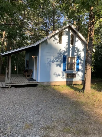 Quaint cabin in the heart of the Ozark Mountains.