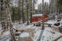 Cozy cottage nestled in the middle of Cloudcroft