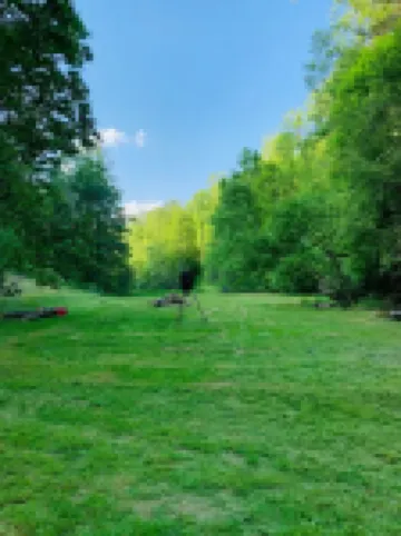 Cozy Creekside Cottage with Skiing & Hiking Nearby