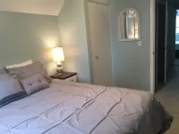 Waterfront MI Cottage on Douglas Lake between Petoskey & Mackinaw City - 3-Star
