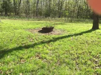 Come and Getaway at the Lake house.