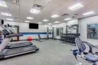 Hampton Inn & Suites Saraland Mobile - Fitnessstudio