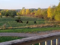 Quiet, remotely located in the country.