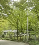 3BR Home Nestled on a Door County Wooded Lot