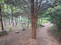 Cricket Hollow with Dock and private Lake Access Sleeps 6 Hotels near Cross Bar Ranch Off-road Park