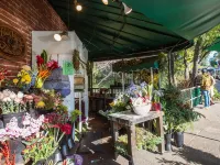 Uptown in Downtown Mill Valley!  The only 3bd/2ba in the heart of the city!
