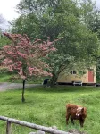 Highland Hideaway at the RMR Farmstead with Hot Tub