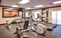 Hampton Inn & Suites Show Low-Pinetop - Gym