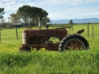 Stay on the farm - 1 bedroom cottage with deck outside of Davis