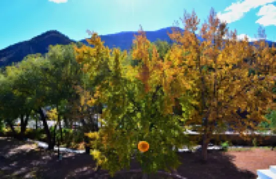 The Heart of Manitou Springs. Award-winning. Luxurious. Historic. 1st Floor unit