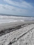Just mins from ocean and major attractions Hotels near Little River Neck Park