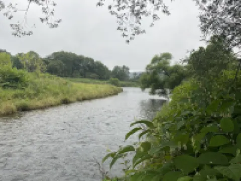 Handcrafted Riverfront Cabin on 10 acres