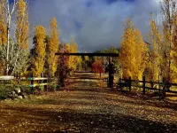 Yosemite Gateway/HorseRanch Cottage/Outdoor SoakingTub & Shower/Scenic Views Hotels near Alfier Park