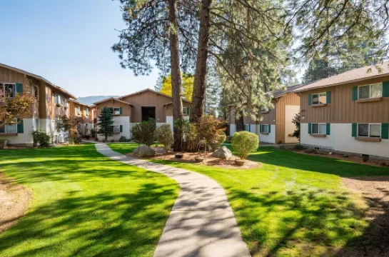 Wilkommen to Mountain View