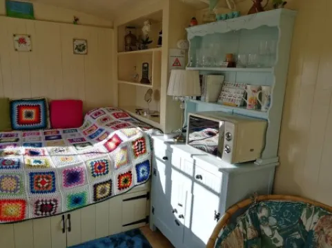 Willow Tree Shepherd's Hut with optional hot tub and shared EV charger. Отели в г. Бьюд