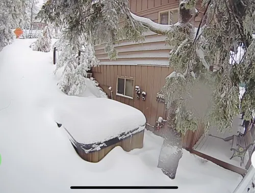 Relax with spectacular views @ Bear Dance Cabin