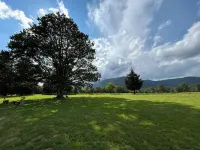 Gîte Du Vieux Chêne Hotels in Plaine