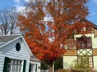 Comfy Cottage in Historic East Poultney Hotels in Poultney