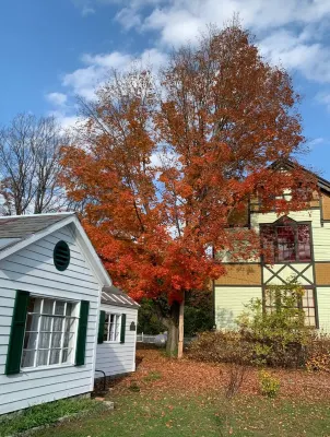 Comfy Cottage in Historic East Poultney