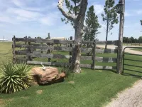 Mountain views, wrap around porch, incredible lawn with fire pit!!