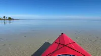 Cape Happy Hour on pond w/Gulf View: 115 steps to beach and beachfront pool