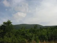 Forest Get Away! Surrounded by National Forest. Beautiful home in the woods.