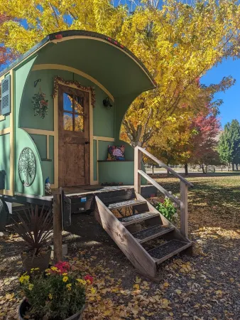 No Fees! Riverfront Gypsy Wagon on Mini Donkey Ranch!