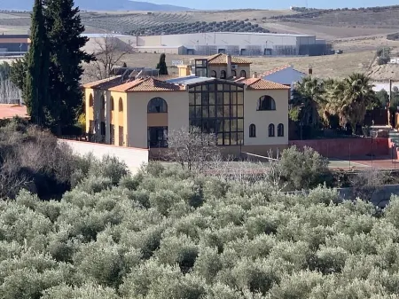 VILLA-HOUSE VIÑA DEL REY