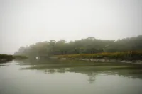 Private Island - Soulfully Peaceful Access to Nature & Wildlife Watching