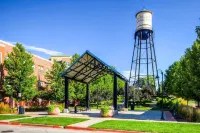 Olde Town Gold-2 bed/1 bath in Olde Town Arvada