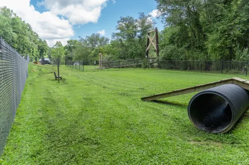 2800 sqft Forest Retreat!4 min to Pool- Hot Tub~Firepit~Dogs! 8 min to Town! Hotels in Ellijay