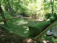 Pet friendly 2br/2ba cabin with hot tub on Rushing Trout Stream!