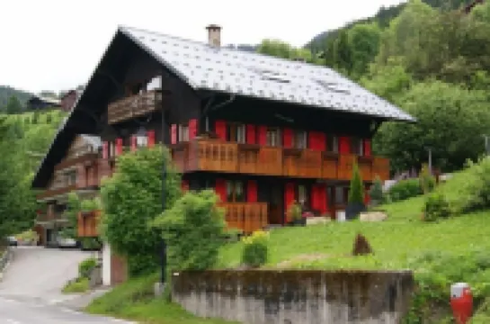 Apartment 10 people, 120m², WIFI, 800m from the centre - Châtel Reservation