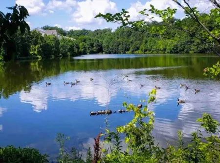 Cozy 1-bedroom unit in amazing Alexandria Отели рядом с достопримечательностью «Exxon»