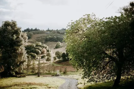 Forest Cottage Отели рядом с достопримечательностью «Сарацина Вайнярдс»