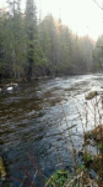 Ausable River  Cottage