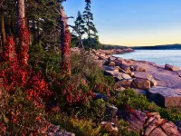 Spacious in-town cottage w/home office. Walk everywhere from your front steps.