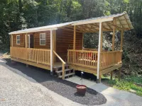 Tiny Cabin in the Laurels, with queen bed & queen sofa bed in wooded setting.