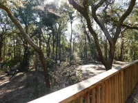 Country living at it's best! Rustic 1908 Barn nestled on 2.5 acres of old oaks