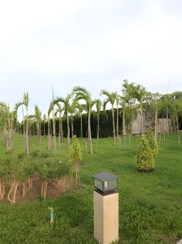 รูปภาพของโรงแรมเอส กาญจนบุรี