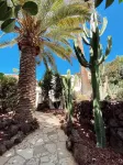 An idyllic oasis in South Tenerife between mountains & sea views فنادق في Abona