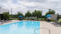 Holiday Inn GREENVILLE by IHG - Pool